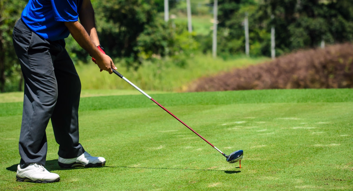 Anatomia dołka golfowego - tee box