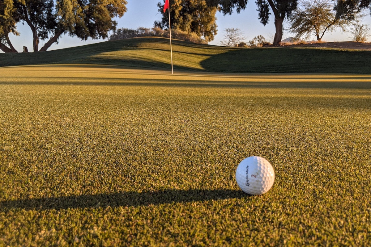 Golf Wrocław piłeczka na greenie - zdjęcie slider