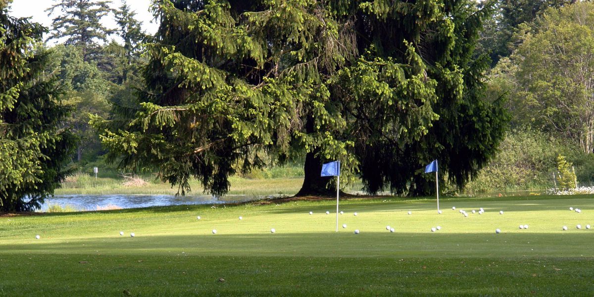 Putting green - zdjęcie z daleka