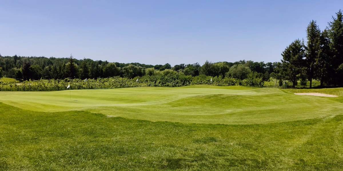 Golf Training Wroclaw - chipping green